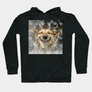 Stoner Dog Hoodie